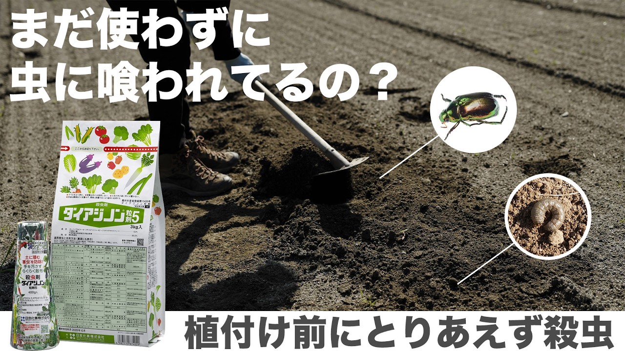 【定植前】はじめての農薬にオススメ！ネキリムシやコガネムシにはダイアジノン