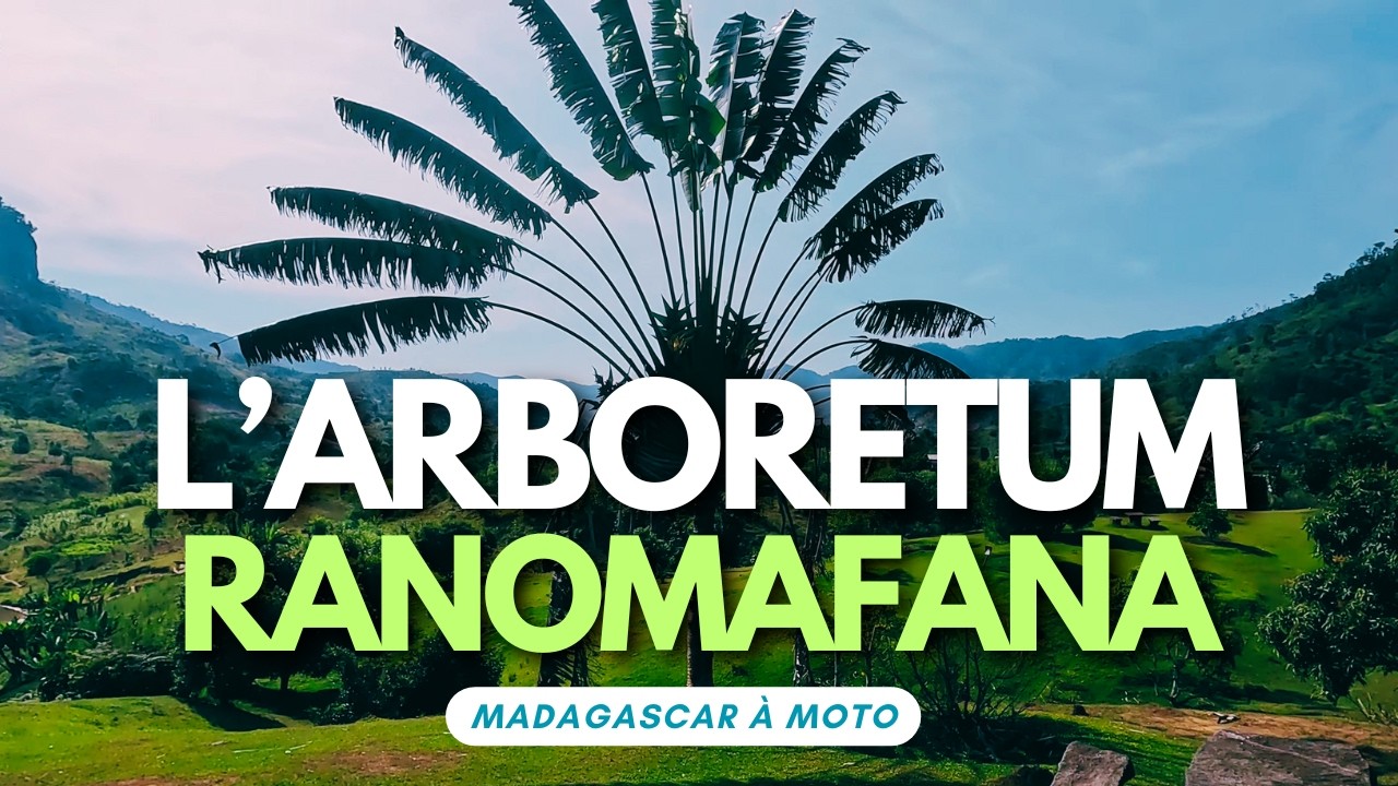 Parc National de Ranomafana, Madagascar 🇲🇬 Repas malgache ~ Arboretum | Circuit Sud-Est à Moto S2E03