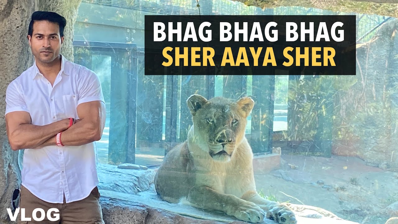 Bhag Bhag Bhag Sher Aaya Sher - Family VLOG by Guru Mann