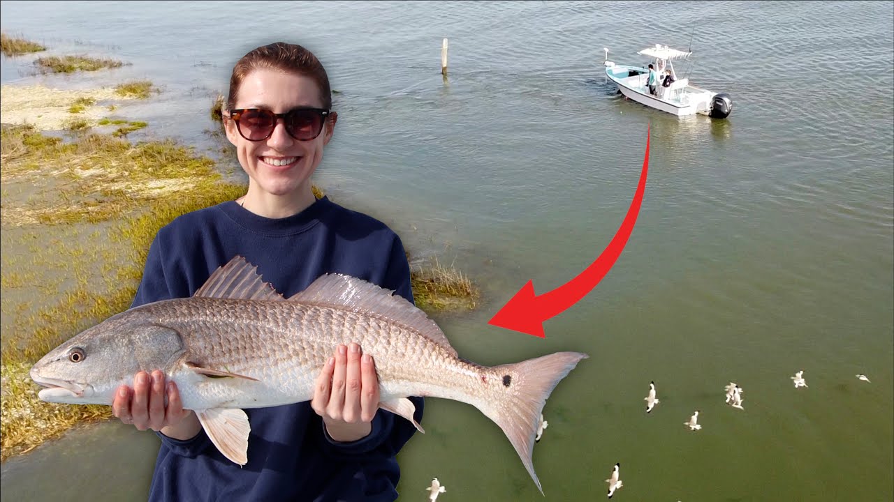 Remote Island Exploration and Fun Fishing Tour in Isle of Palms, South Carolina!