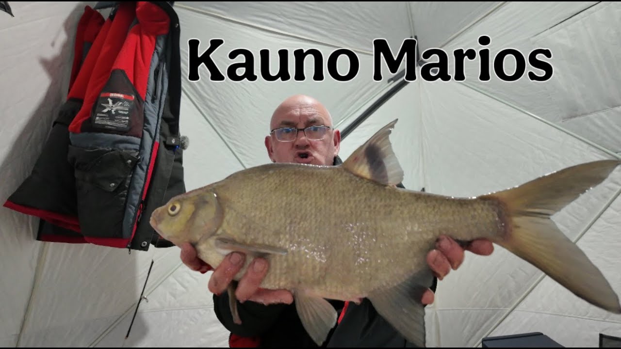 Kaip pagauti monstrą Kauno mariose TV+