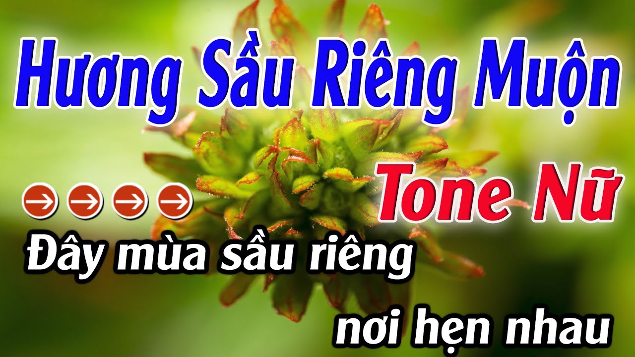 Karaoke Hương Sầu Riêng Muộn Karaoke Tone Nữ Beat Hay Nhất 2026 Karaoke Mê Nhạc Sống