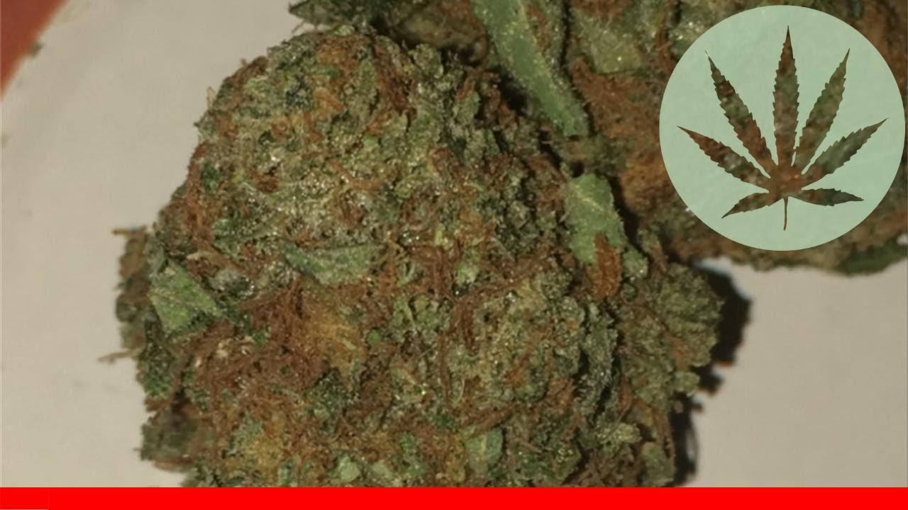 California Sour - All About This Strain