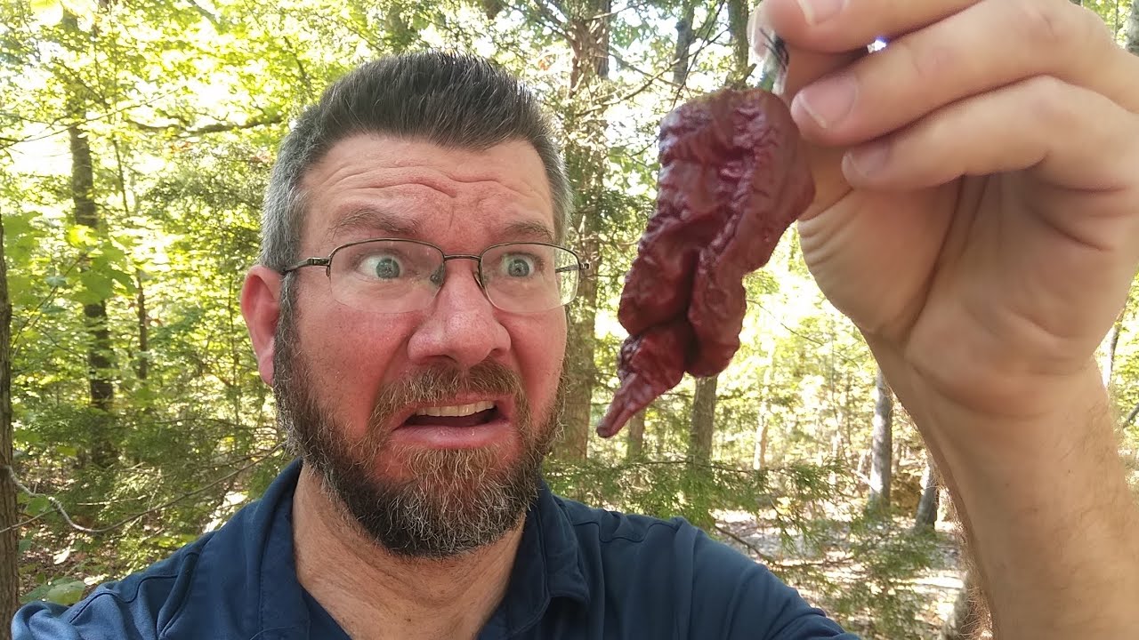 Идиот съел ПЕРЕЦ HOGOTALII!!!