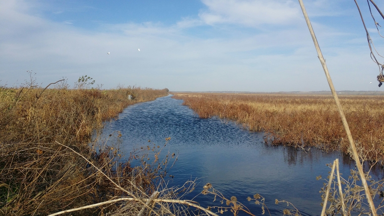 Squaw Creek National Wildlife Refuge