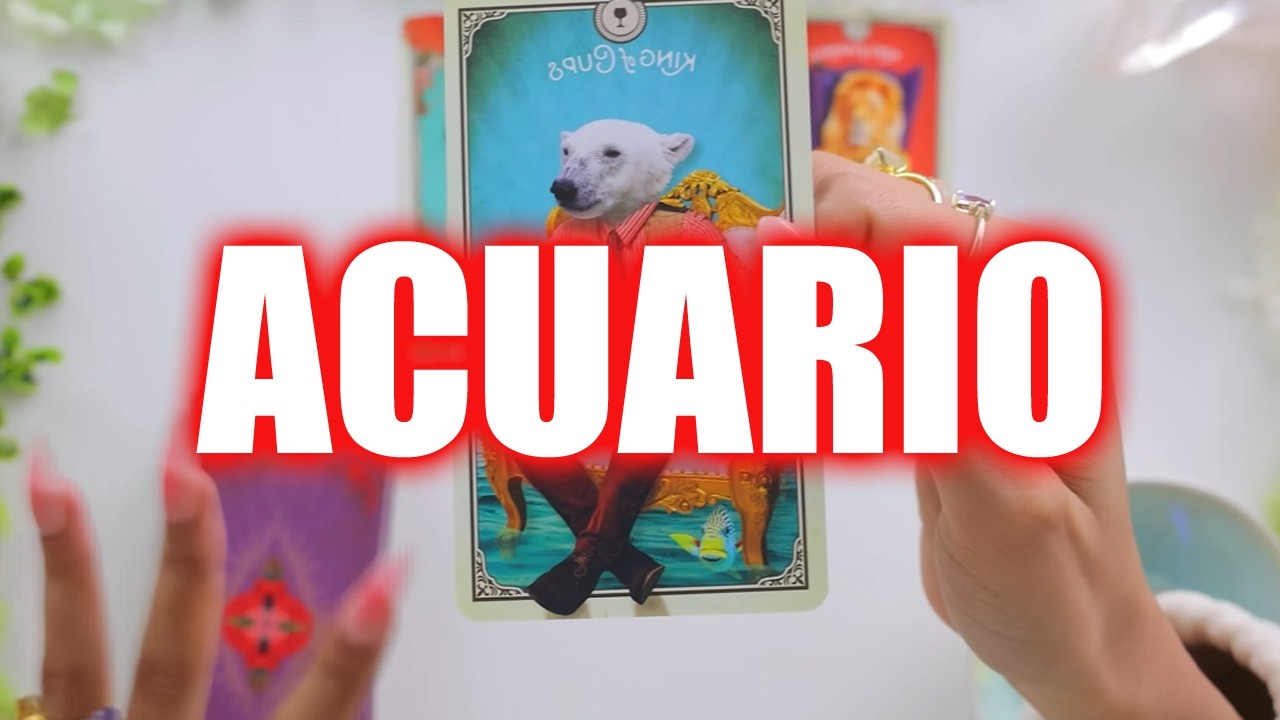 ACUARIO ESTO NO ES UN SUEÑO! EL MIÉRCOLES 11 DE FEBRERO ESTALLA TODO! LA RECOMENSA ES COLOSAL!☀️
