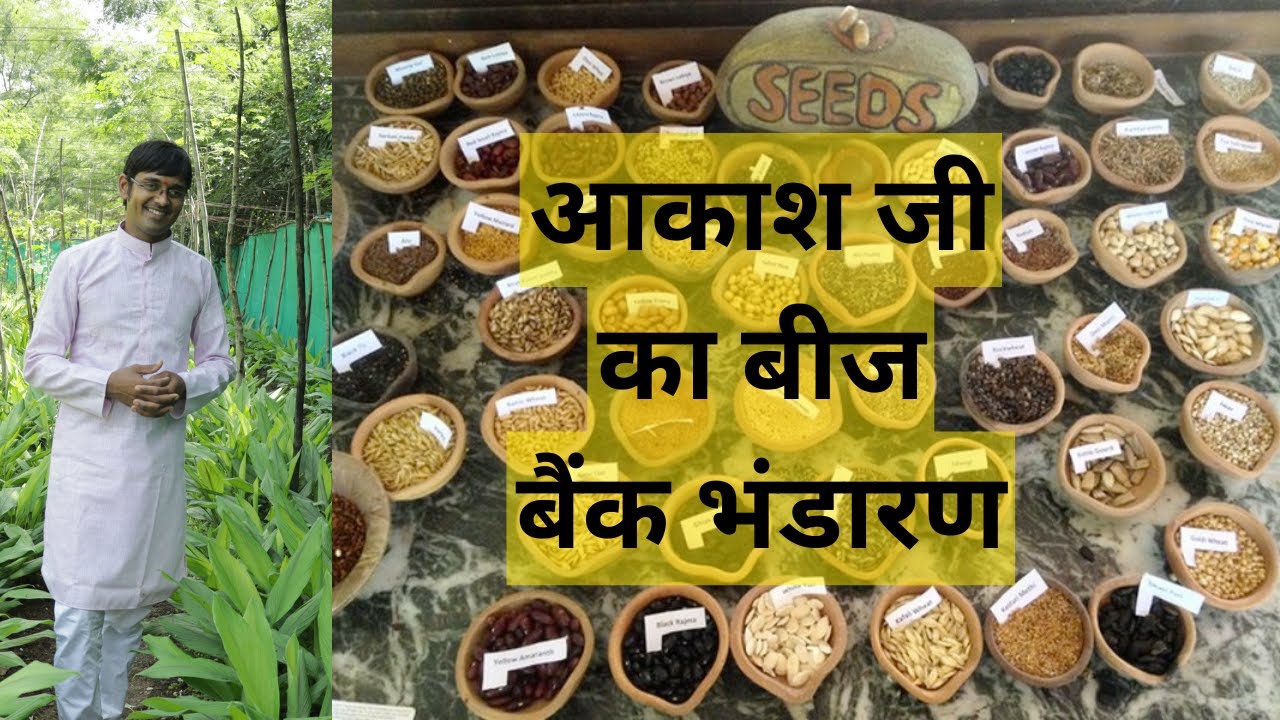 आकाश जी का बीज बैंक भंडारण | Akash ji's seed bank storage
