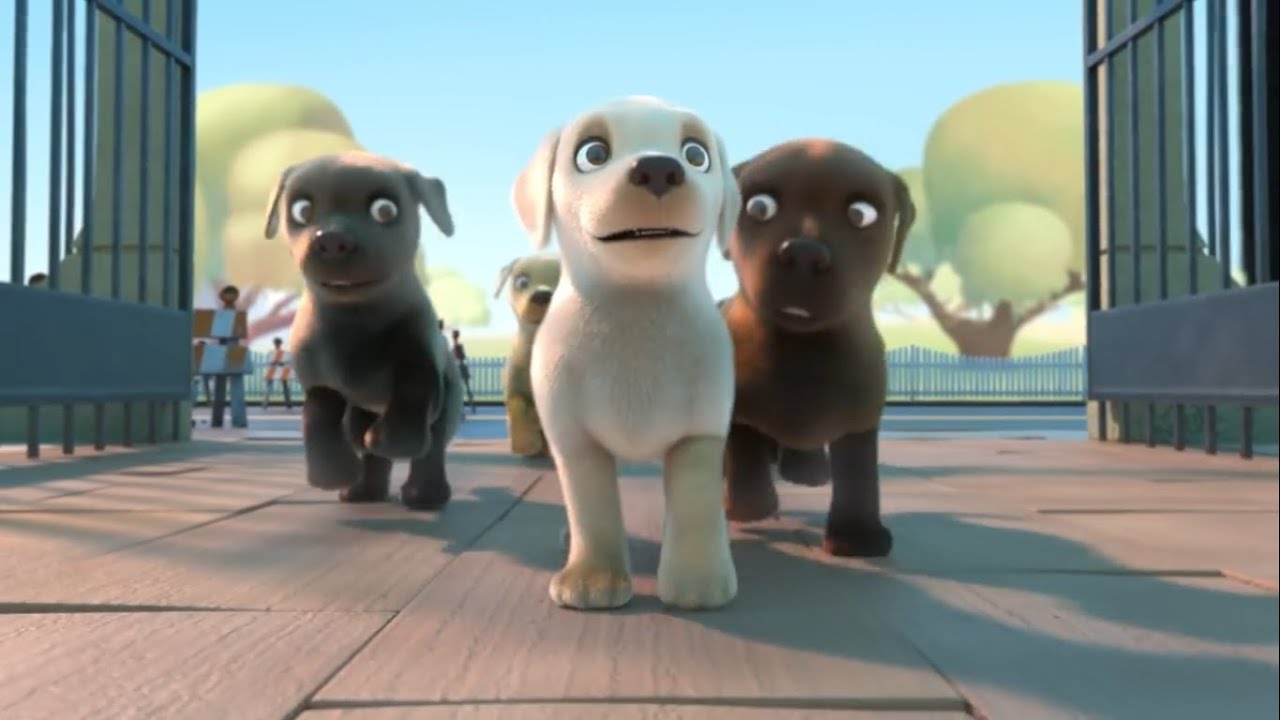 Rehber K&ouml;pek - Animasyon Kısa Film