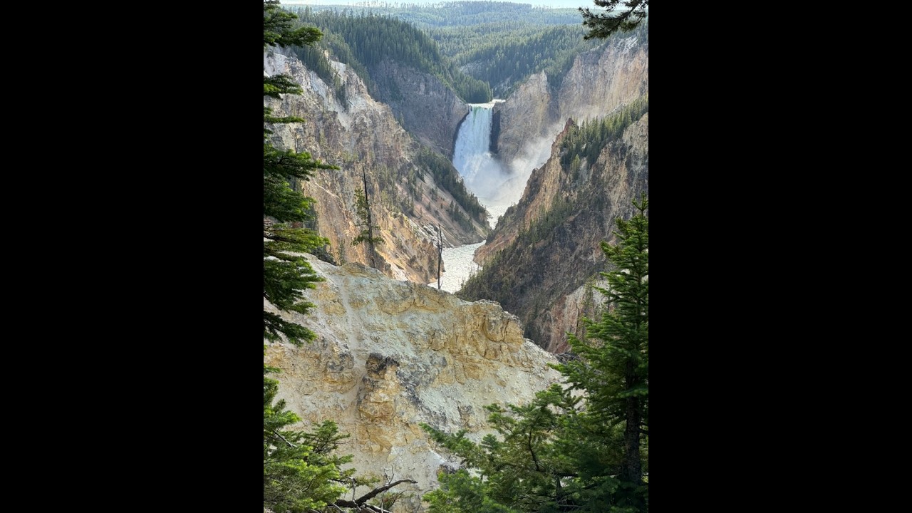Yellowstone and Grand Tetons 2024