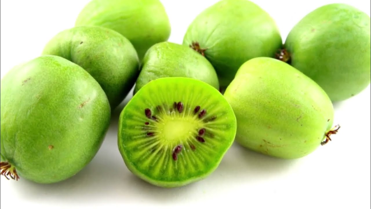 Le Kiwai  Origines, Bienfaits pour la Sant&eacute; et Inconv&eacute;nients #fruit #kiwai #youtube #motivation