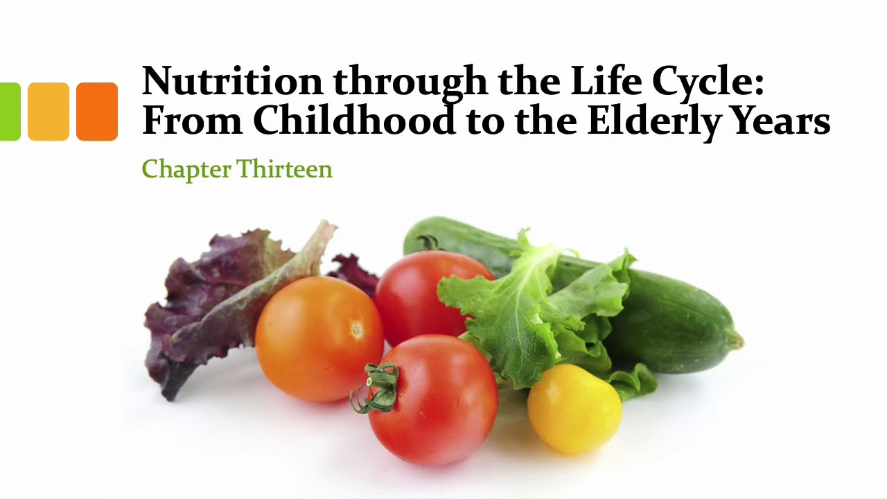 CHAPTER 13:  Nutrition through the Life Cycle  From Childhood to the Elderly Years