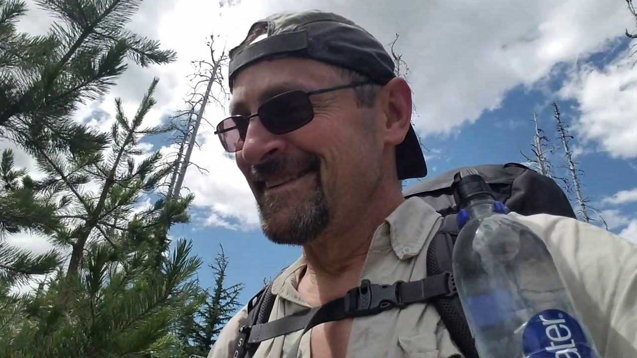 #1 Hiking Alone on the PCT Oregon Section F Aug 3, 2019