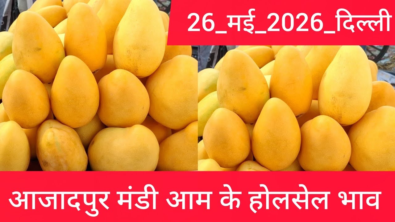 26 May 2026 दिल्ली 🥭 आम का भाव Azadpur Delhi Mandi Today Mango Market Price Aam Ka Aaj Ka Rate