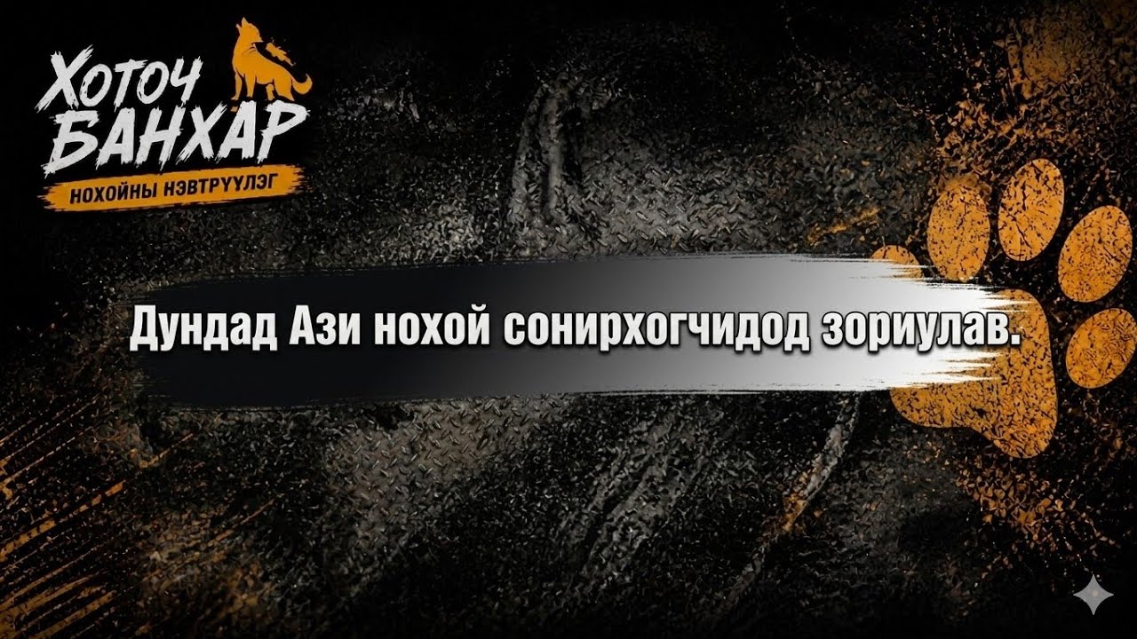 Hotoch banhar 4 (Хоточ банхар нохойны нэвтрүүлэг)