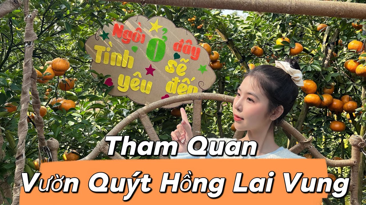 Tham Quan Vườn Quýt Hồng Đồng Tháp | Quýt Chín Rực Trái To | Món Ăn Đặc Sản |