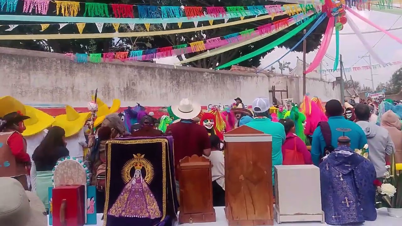 Carnaval San Antonio tecozautla  2026
