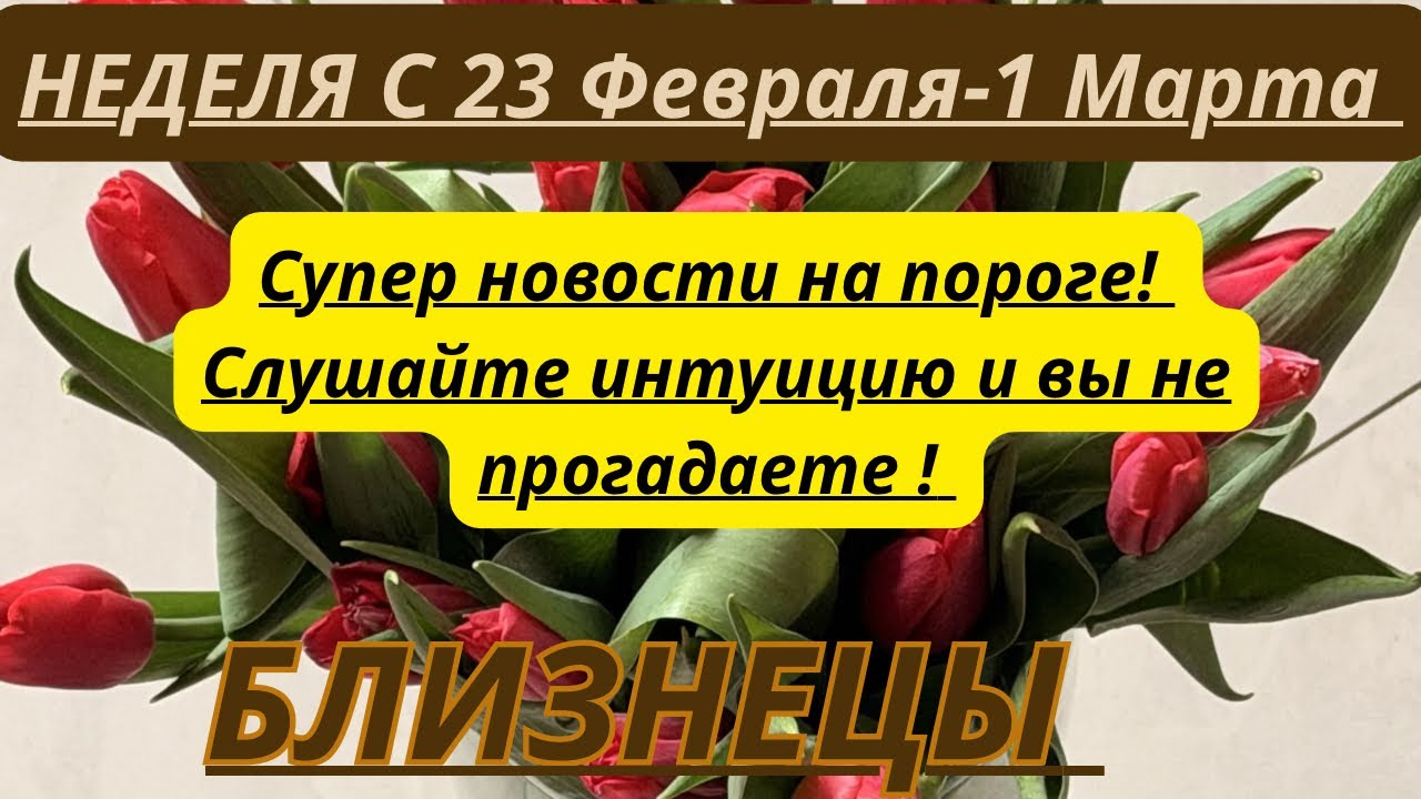 БЛИЗНЕЦЫ ♊️ ТАРО ПРОГНОЗ С 23 Февраля-1 Марта/2026 от Alisa Belial 