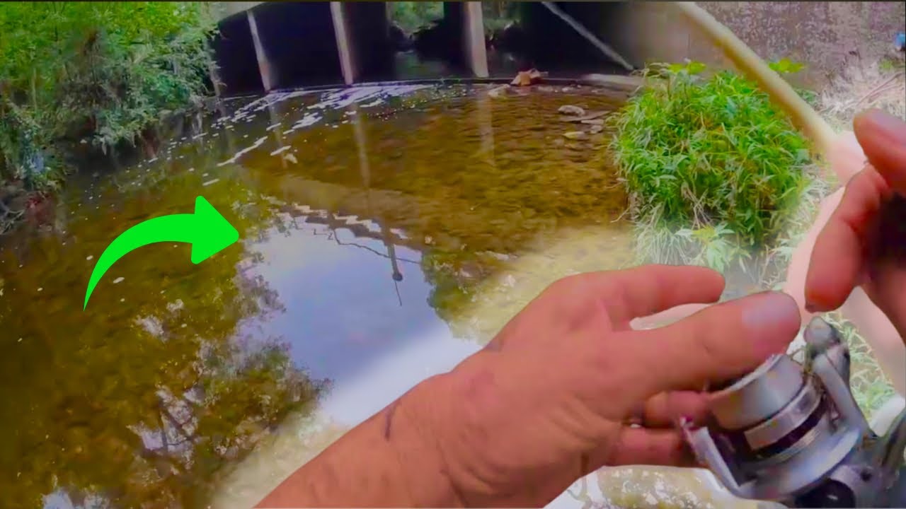 Fishing the Olmos Creek Basin in San Antonio, Texas!
