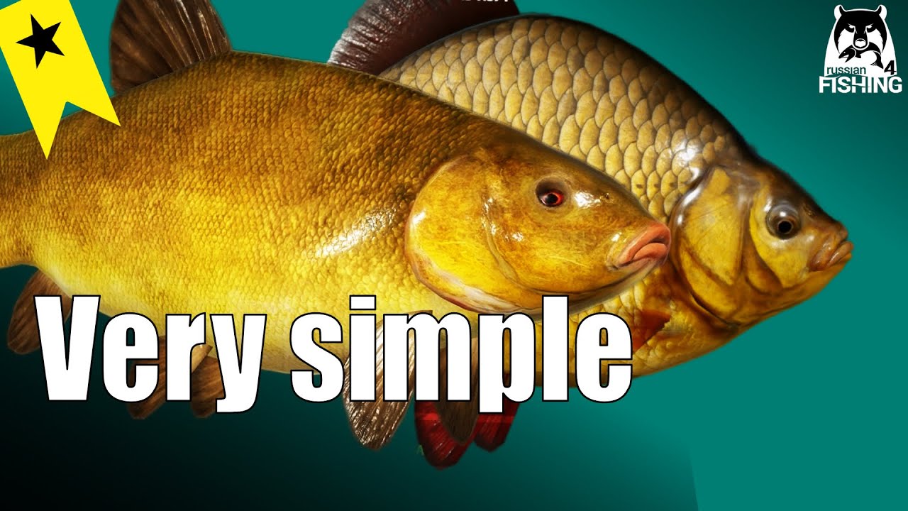 Russian Fishing 4 - Mosquito Lake - Bottom fishing! Hair-rig for Tench, Giblecarp, Crucian Carp