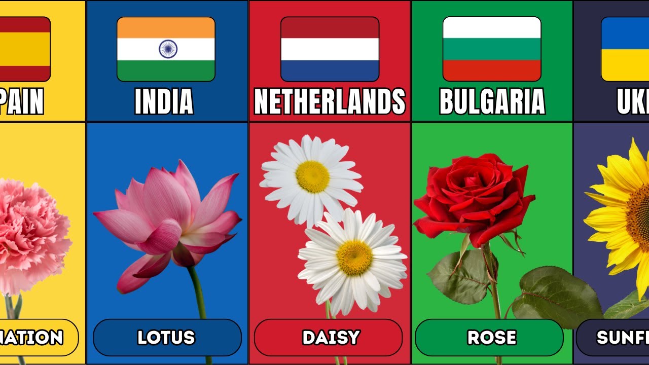 National Flowers From Different Countries
