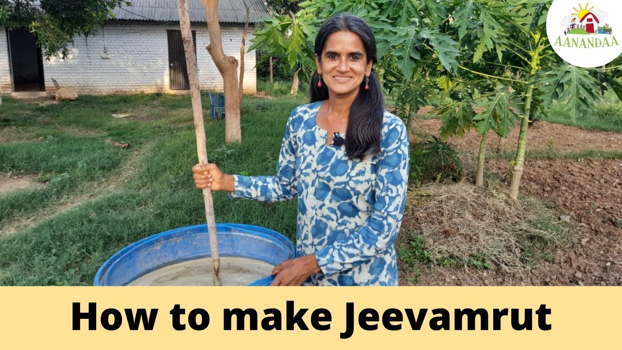 Quick Permaculture Tip - How to make Jeevamrut