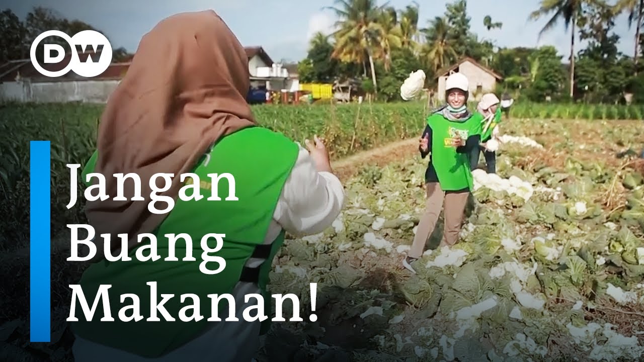 COVID-19 Buat Panen Petani Terbuang, Garda Pangan Bantu Cegah Sampah Makanan