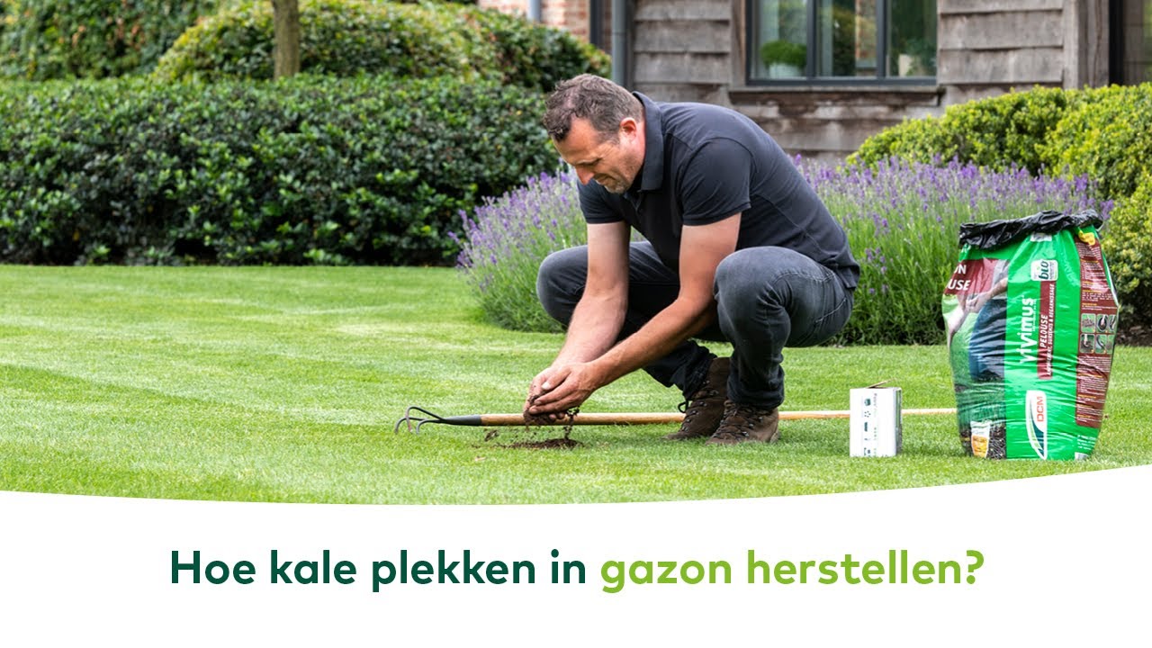 GAZON – Hoe kale plekken in gazon herstellen?