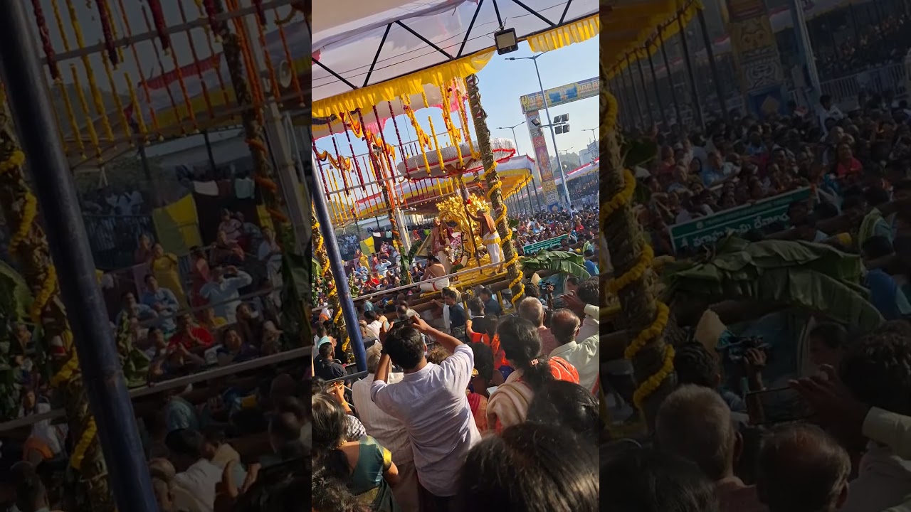 Rathasaptami 2025 Tirumala 