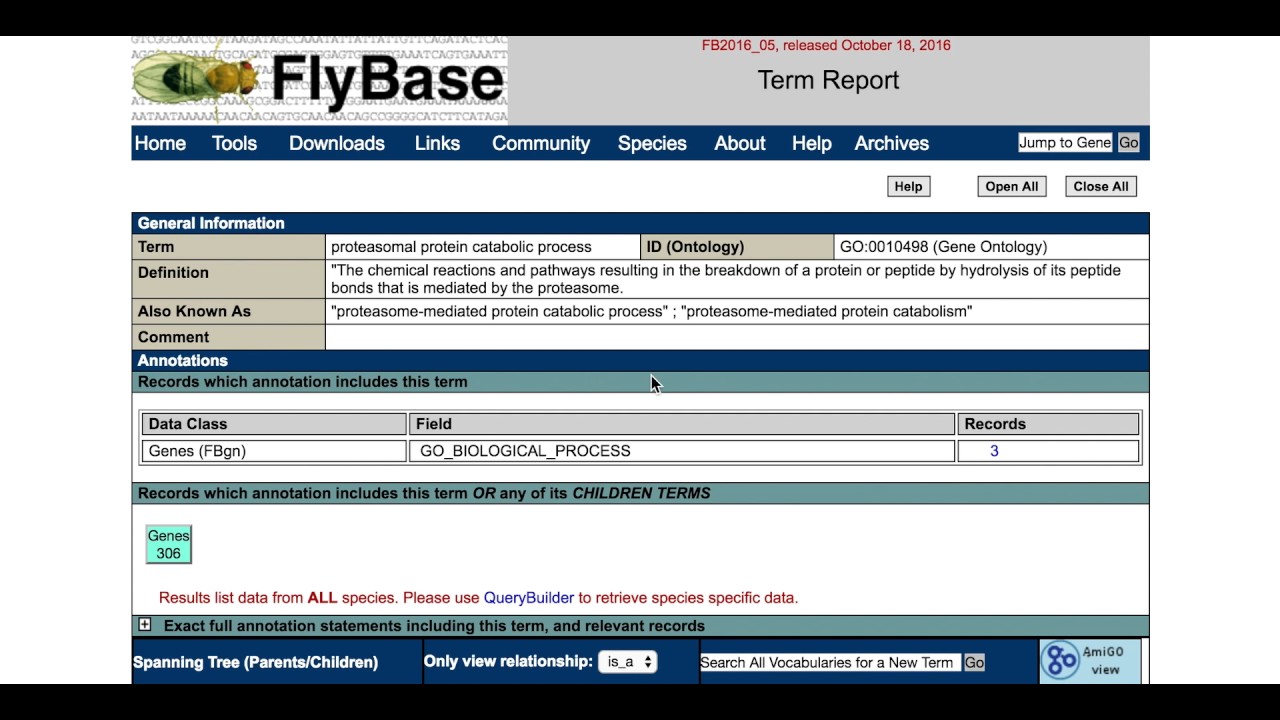 Finding related genes in FlyBase: The Gene Ontology