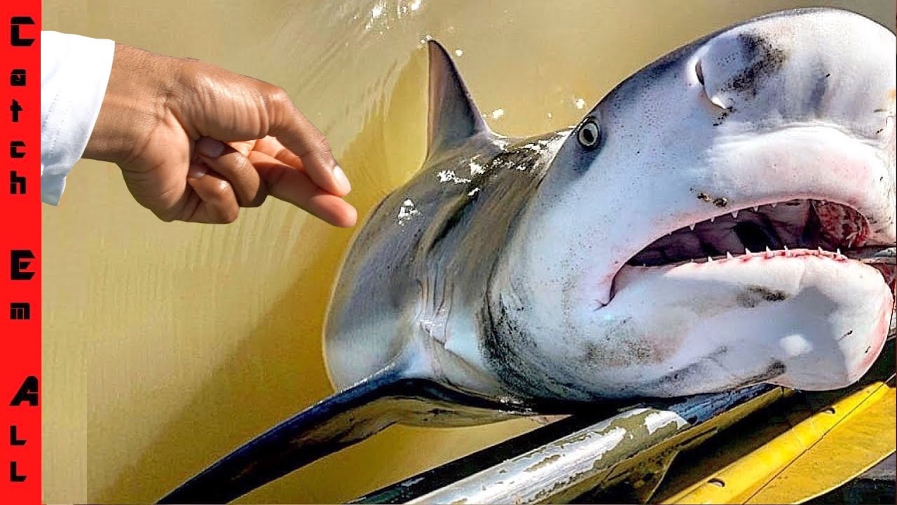 FRESHWATER BULL SHARK + CATCH N COOK with the HOTTEST PEPPER in the WORLD! **Part 2**