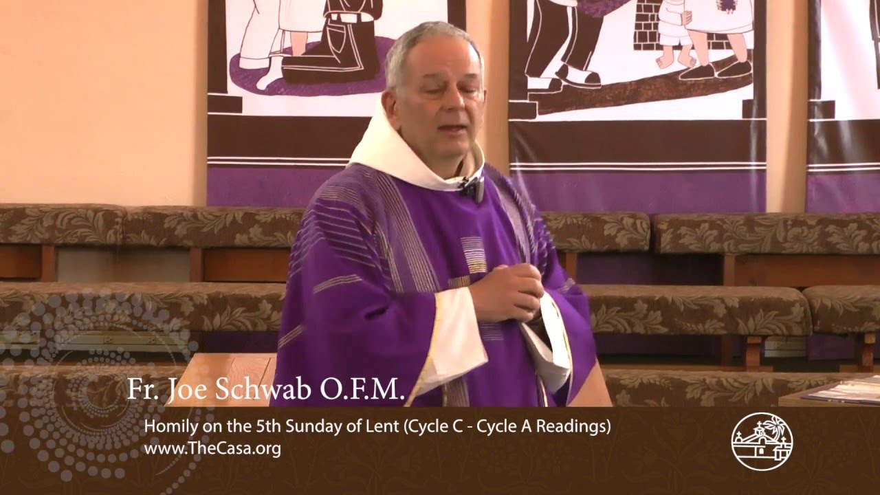 Homily on the 5th Sunday of Lent (Year C - Cycle A Option) Fr Joe Schwab