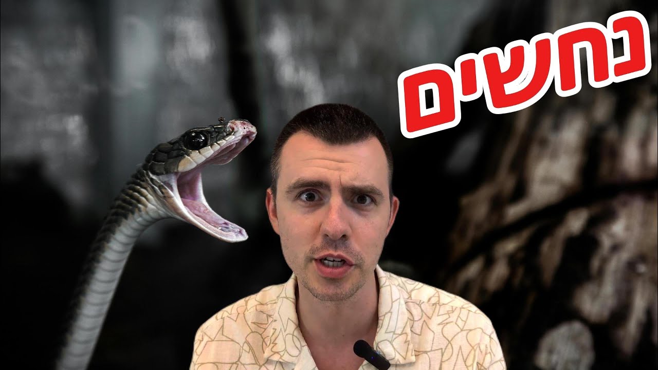 נחשים - מה הם 6 הנחשים הכי ארסיים בישראל? | פרק 10
