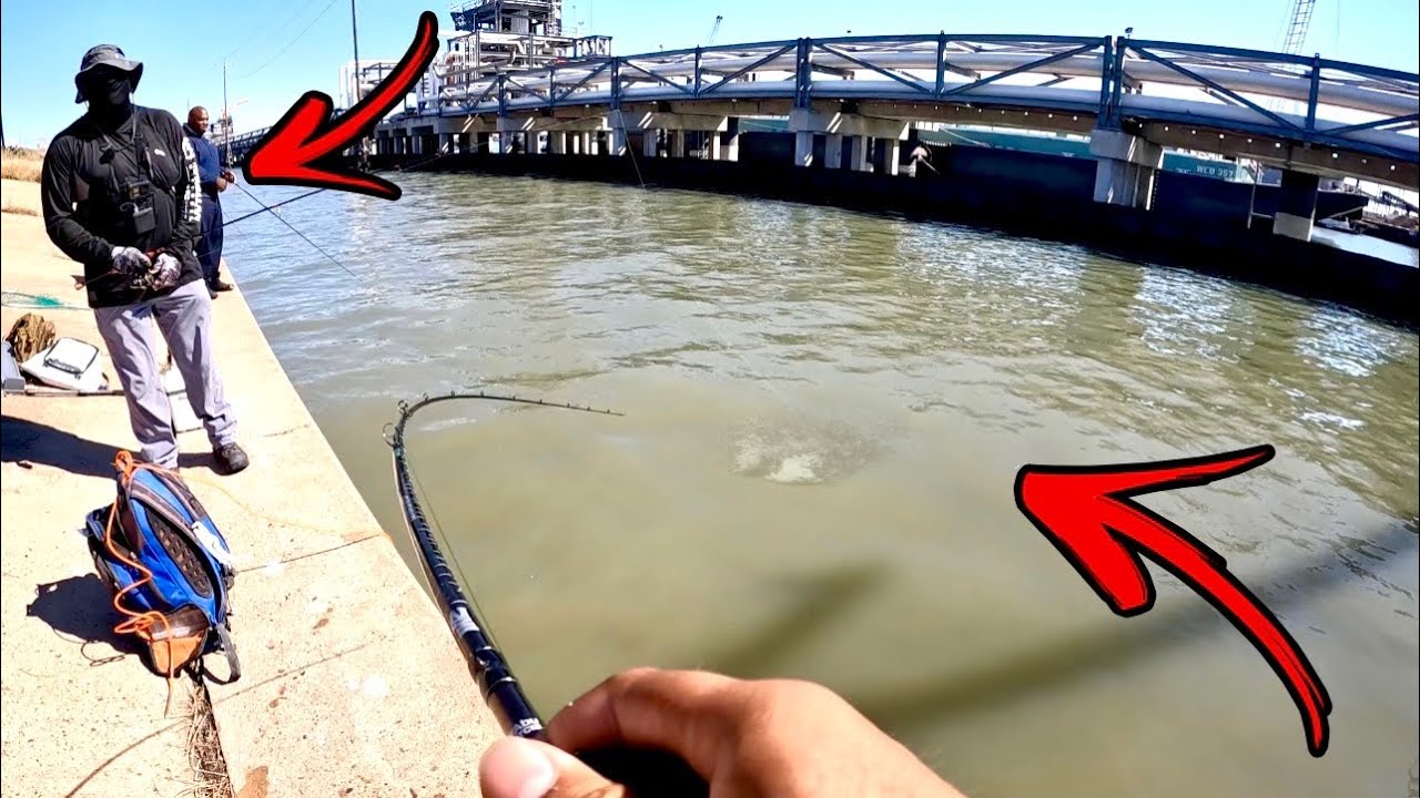 Everyone WANTS To Catch This FISH! ( Galveston TX )