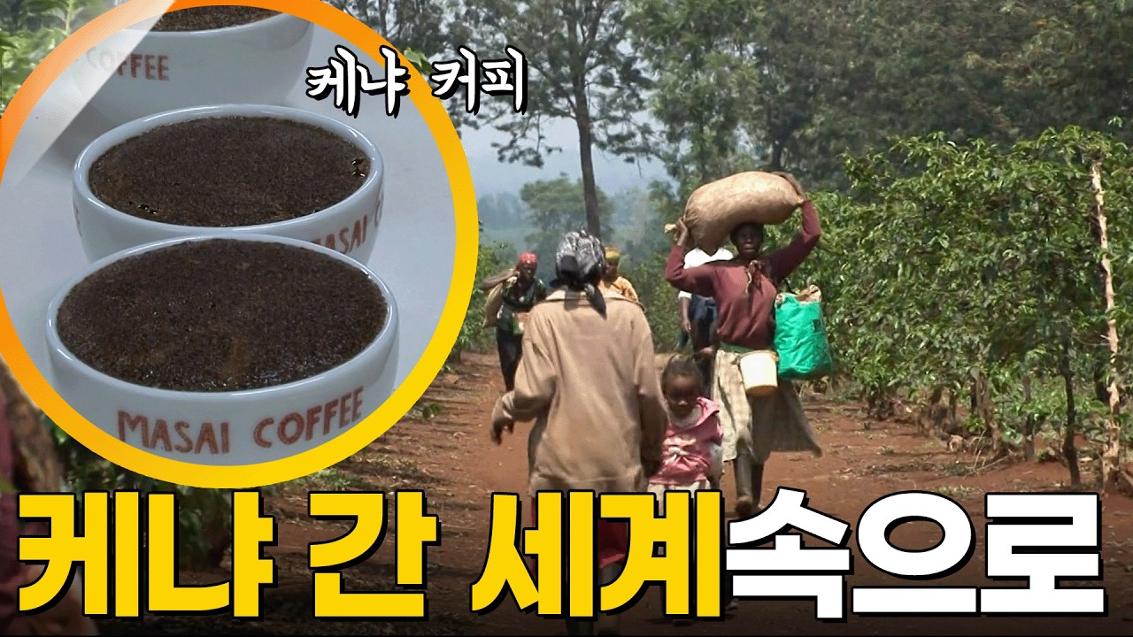 '케냐 간 세끼'의 그곳?! 케냐 예습은 이 영상 하나로 끝! [걸어서 세계속으로] KBS 121110 방송