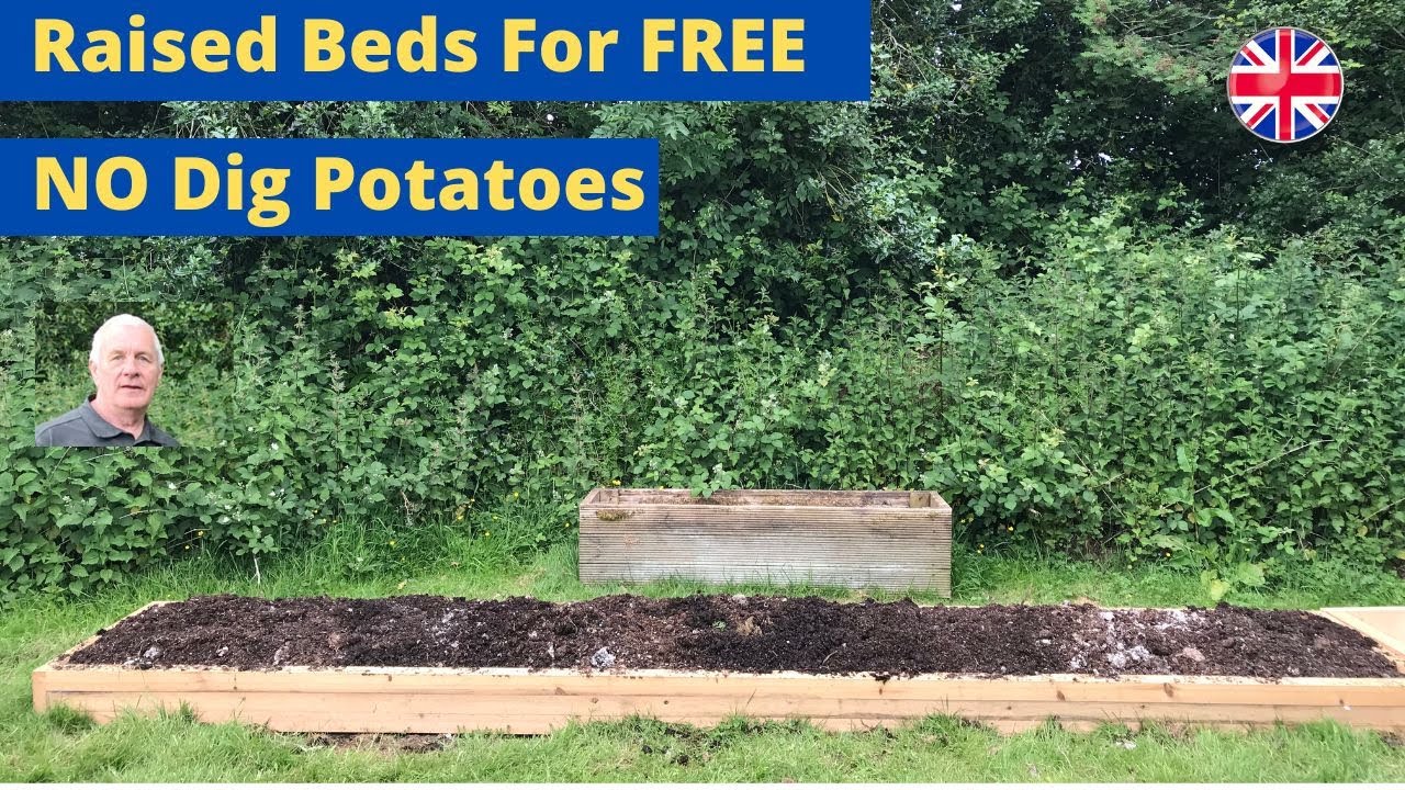 No dig potatoes
