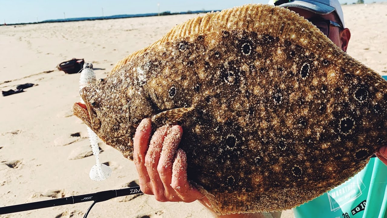 Single Jig for GIANT FLUKE - Surf Fishing Flounder Limit+ with Gulp and Keitech