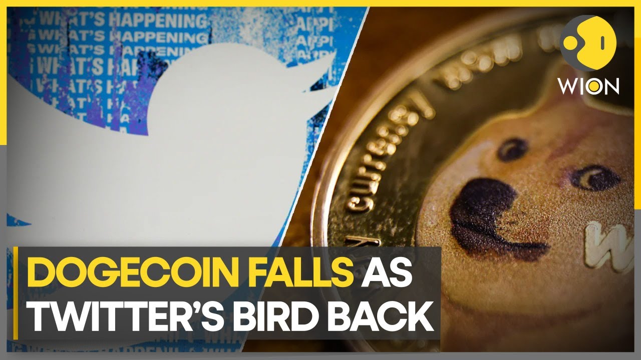 Dogecoin falls nearly 9% after Twitter's bird flies back as the logo | Latest | English News | WION
