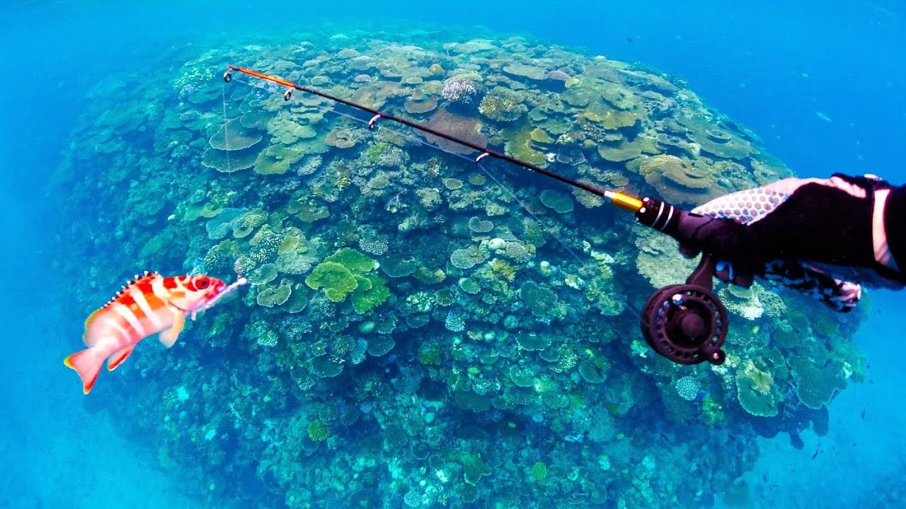 CRYSTAL CLEAR Underwater Fishing With MINI Rod [Seasnake Attack?]