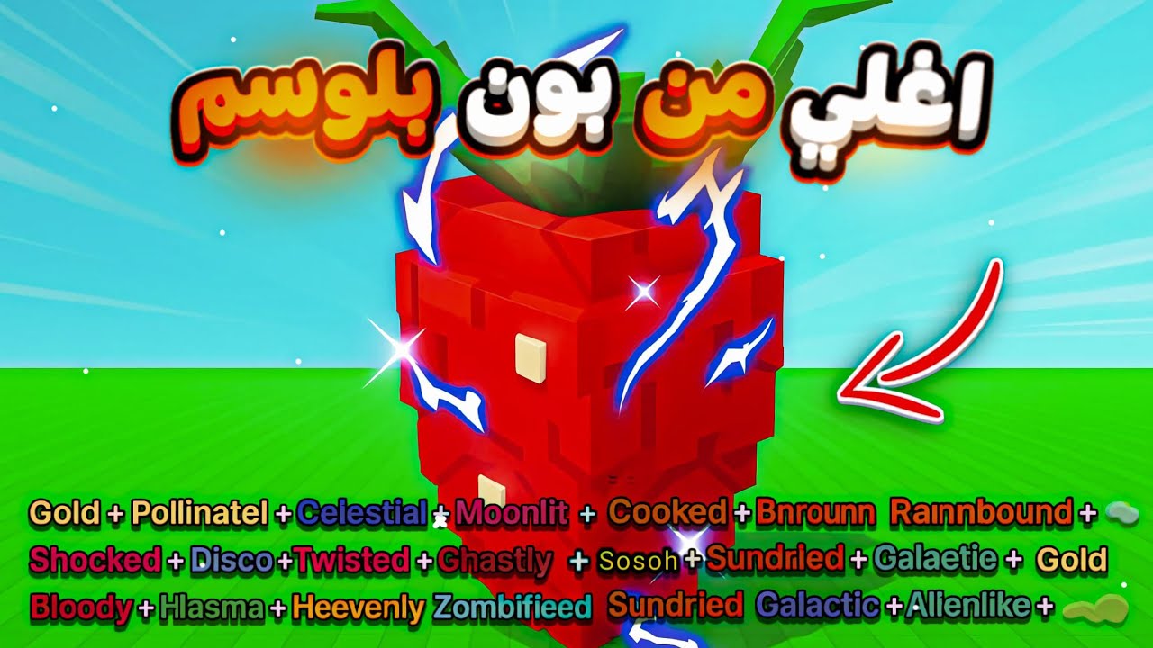 اشتريت اغلي نبته بالشوب elder strawberry وحصلت عليها كل التطويرات ماب المزرعه grow a garden