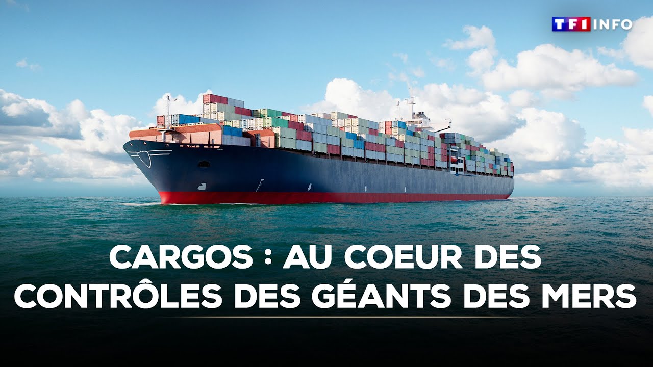 Cargos : au coeur des contrôles des géants des mers｜TF1 INFO