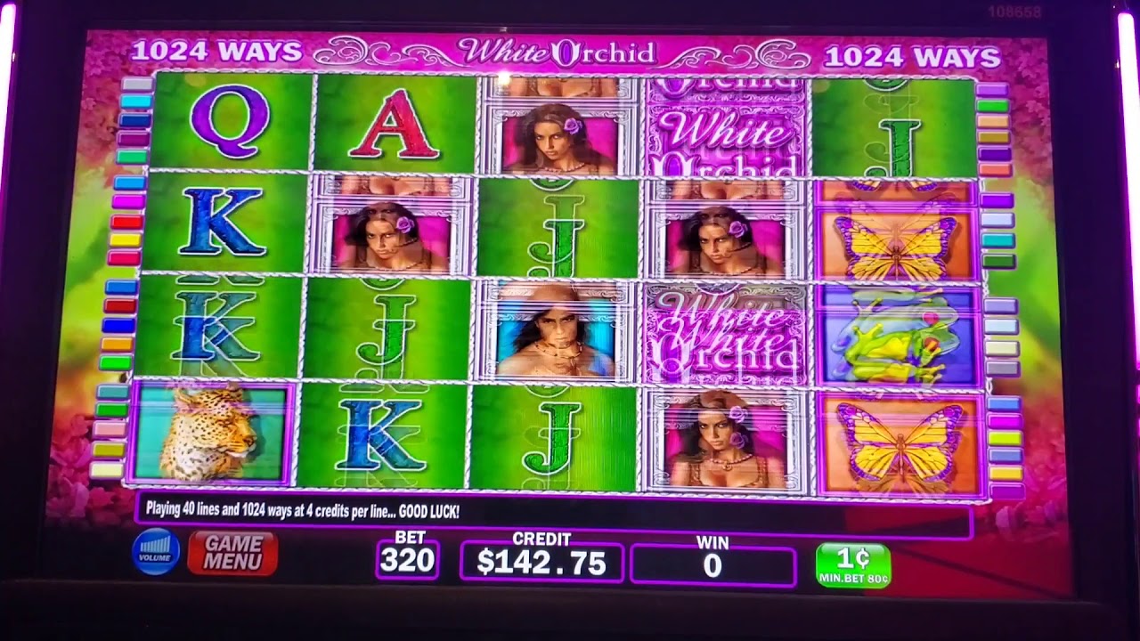 White Orchid 🌸 max bet let's see what happens