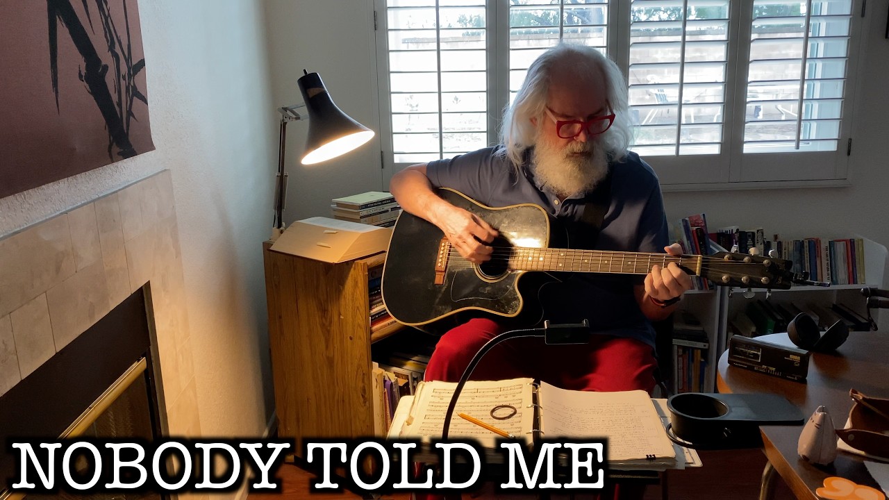 Nobody Told Me (cover)