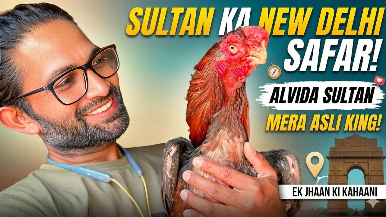 Sultan Ka Naya Safar |