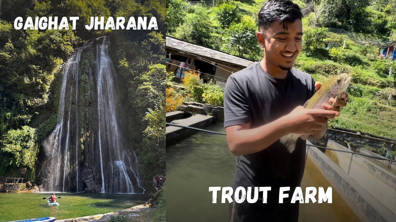 Gaighat Jharana | Tarakhola Rainbow Trout Fish Farm | Galkot, Baglung