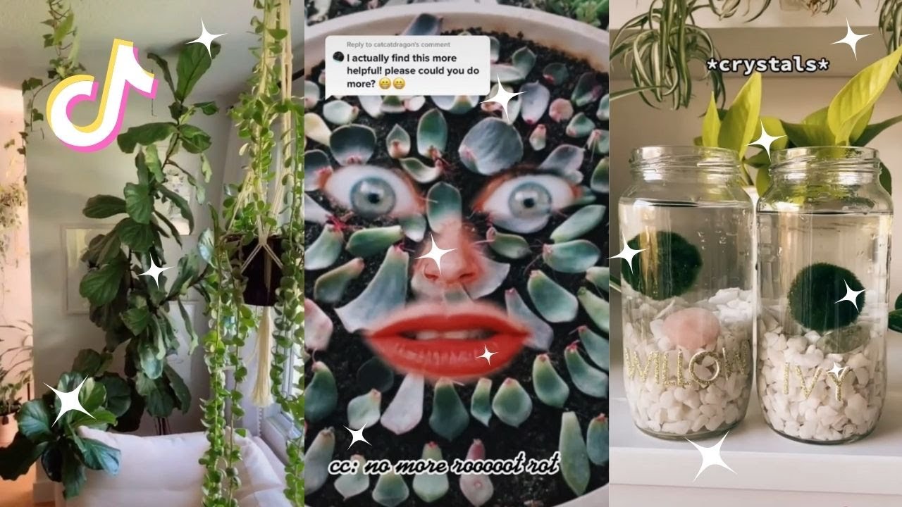 Planttok 🌱 tiktok compilation
