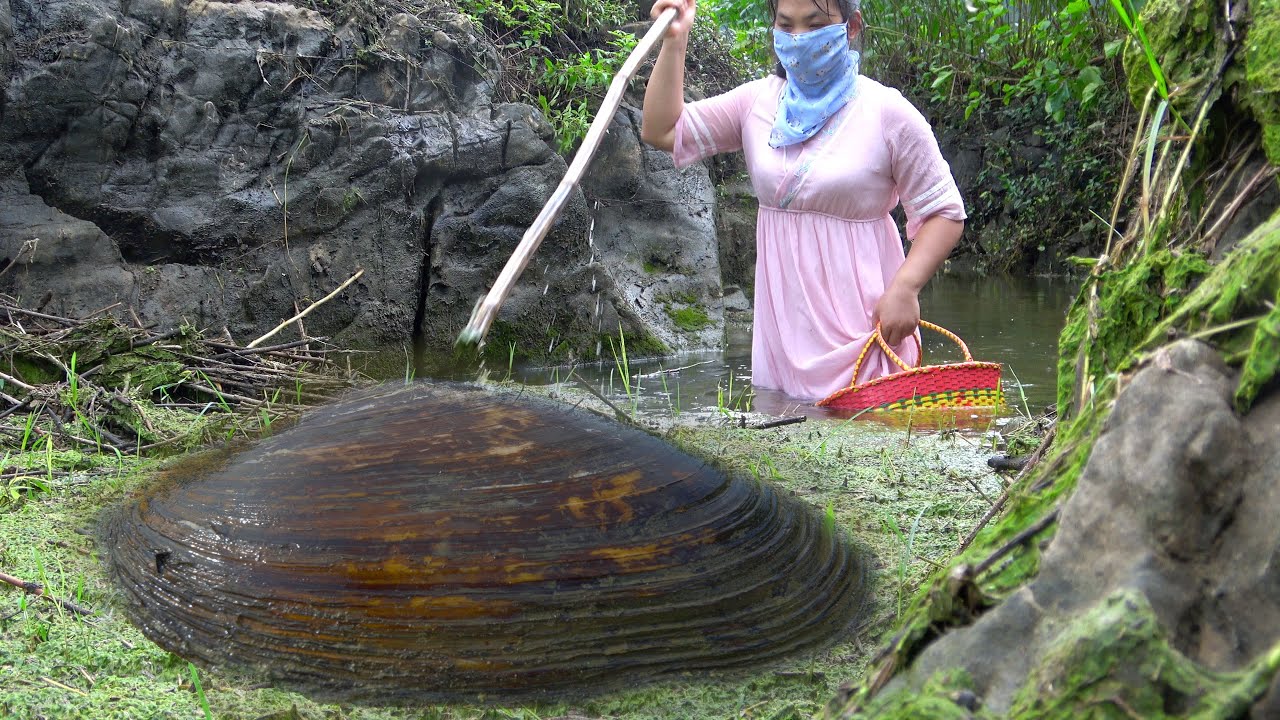The treasure of river clams, the girl discovered precious pearls while fishing for them in the wild