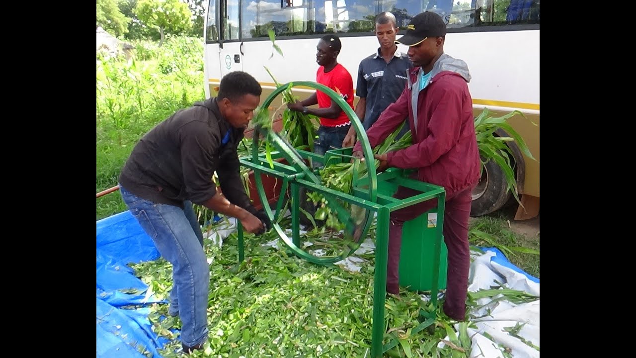 Affordable forage chopper for small-scale farmers--Burkina Faso
