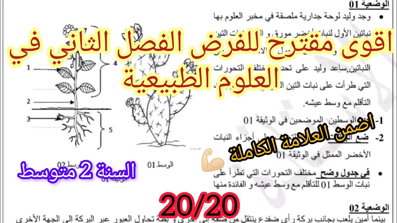 فرض الفصل الثاني المقترح في مادة العلوم الطبيعية السنة الثانية متوسط 2025