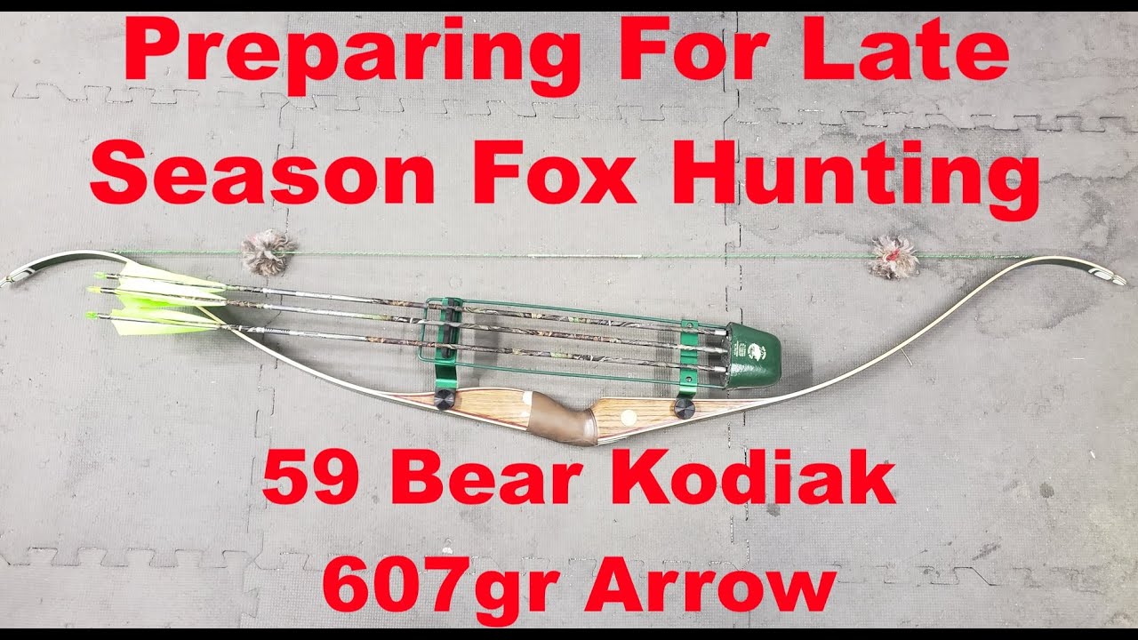 Preparing for Late Season Fox Hunting w/ 59 Bear Kodiak 40 lb Recurve 607gr Arrow