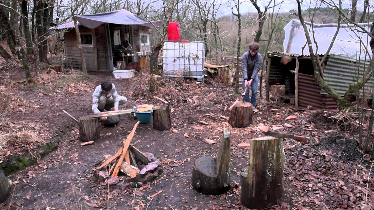 Les squatteurs des bois